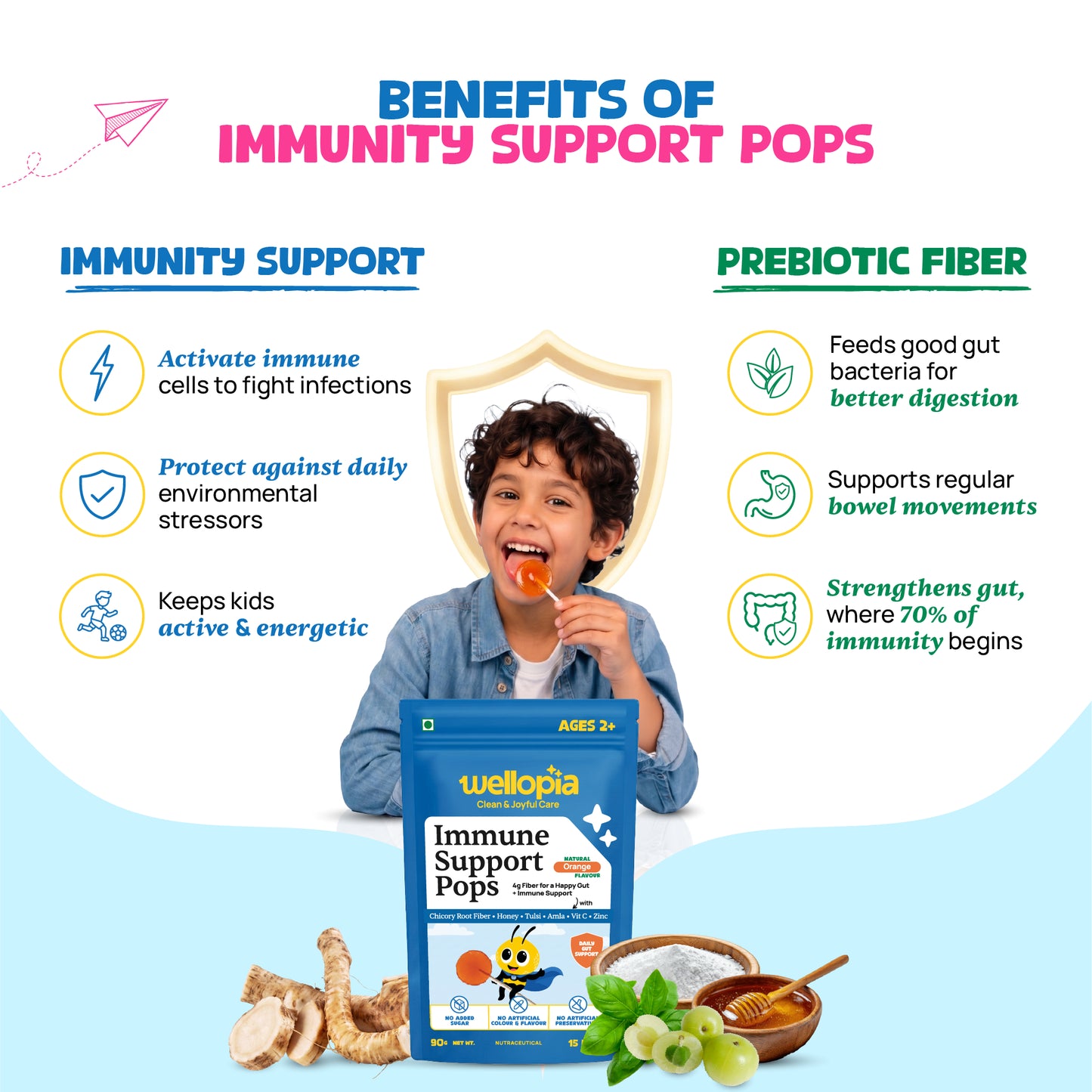 Immune Support Pops